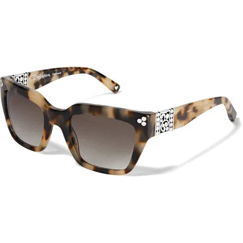 Brighton | Contempo Dot Sunglasses