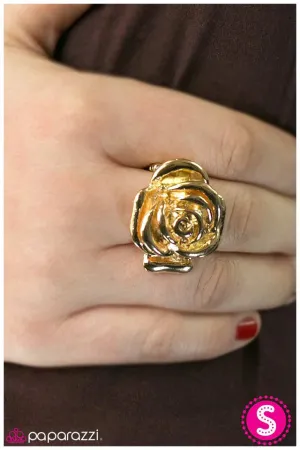 Paparazzi Ring ~ Amazing Grace - Gold