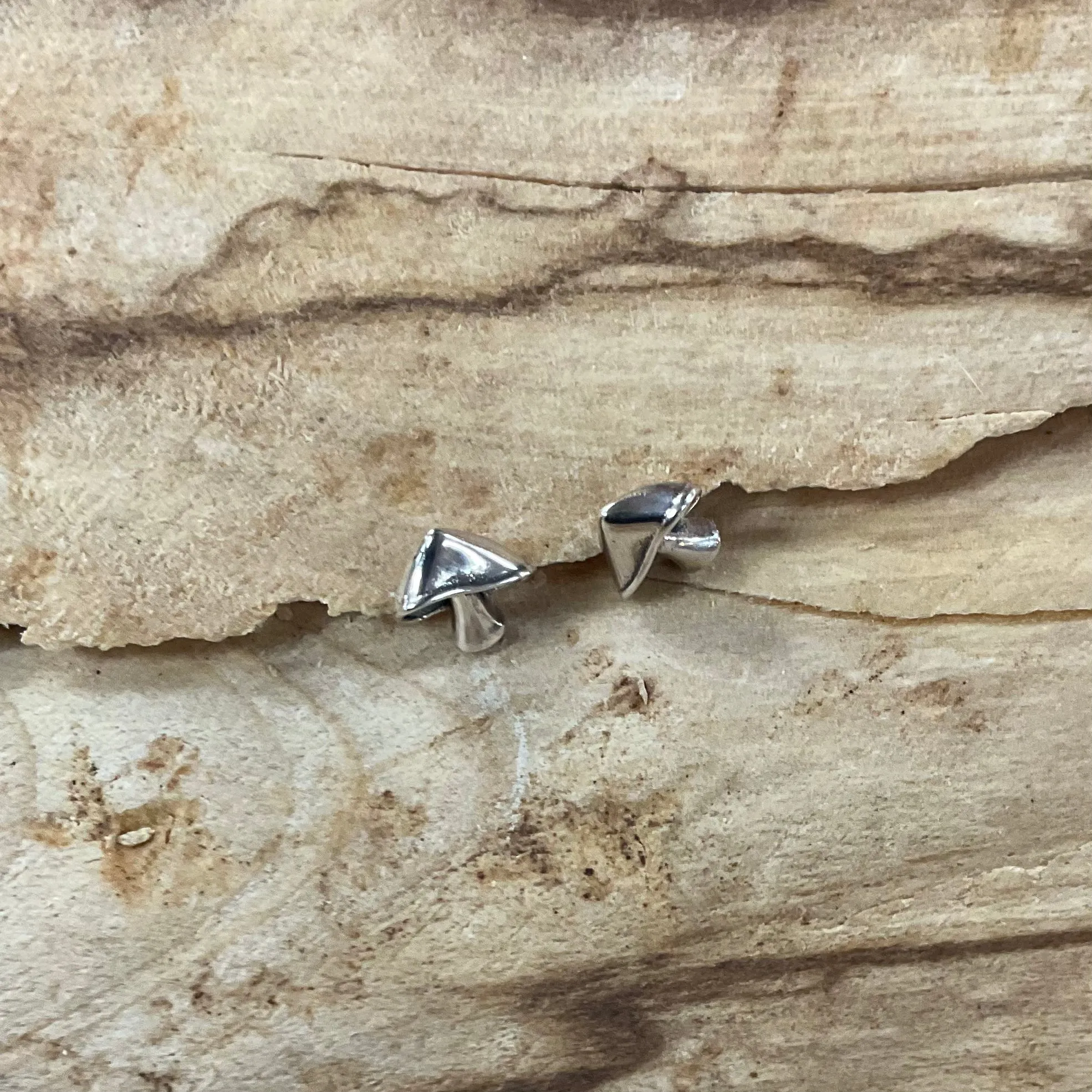 Sterling Silver Earrings